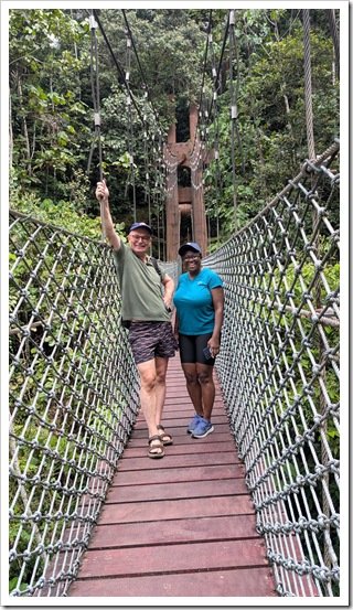 Temburong forest