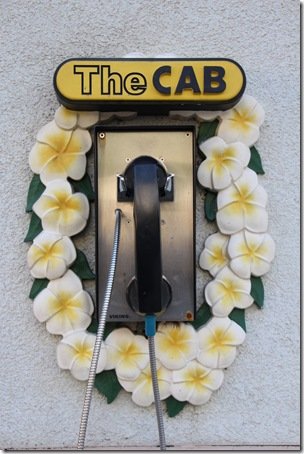 The Hawaiian Lei