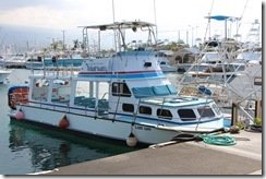 Captain Dan McSweeney's Whale Watch