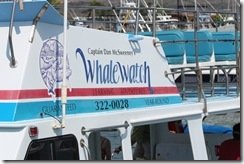 Captain Dan McSweeney's Whale Watch