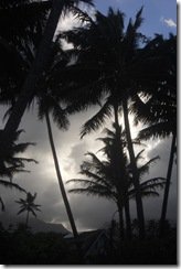Kailua Beach Park Oahu