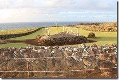 Mo'okini Luakini Heiau