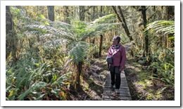 Overwhelmed by Nature