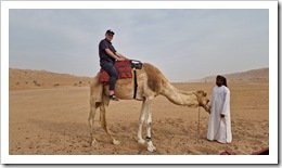 Shahiq Camel Ride