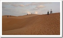 Shahiq (part of Wahiba Sands)