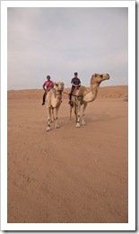 Shahiq Camel Ride