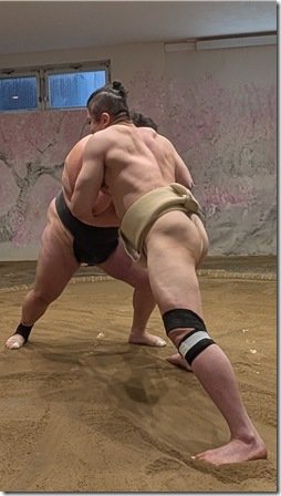 Sumo Wrestling