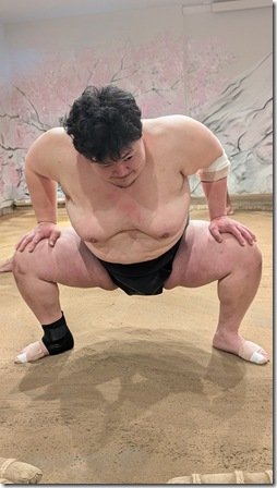 Sumo Wrestling